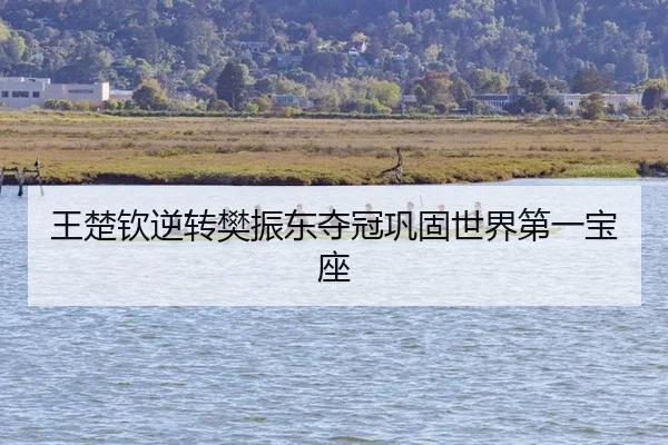 王楚钦逆转樊振东夺冠巩固世界第一宝座